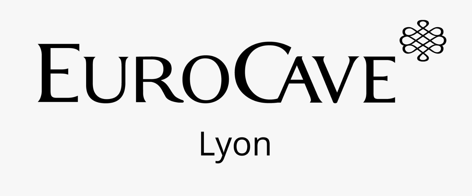 WhatsApp Image 2025-02-27 at 16.33.52