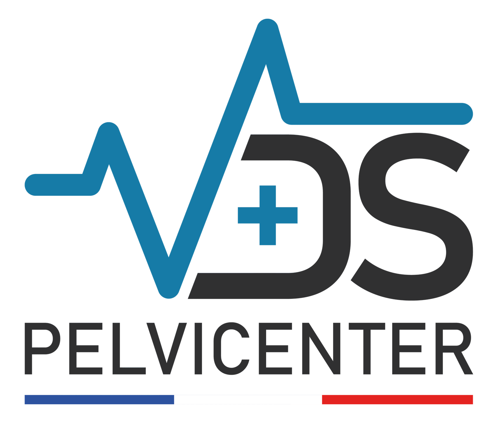 logo vds pelvi